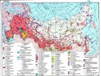Этнографическая карта. Русские в РФ