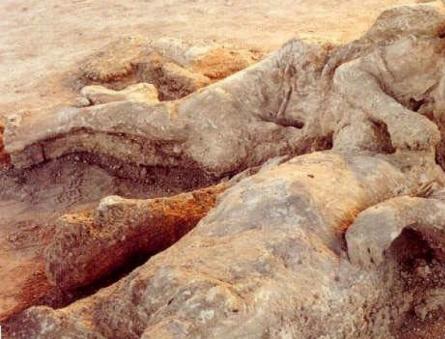 Гибель Помпеи – малоизвестные факты о трагедии древнего города Помпея вулкан везувий уничтожил